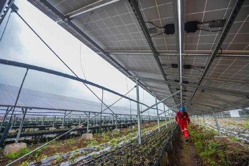 中國十三省最大光伏電站在這里！欽州康熙嶺的光伏電站能排上號了嗎？